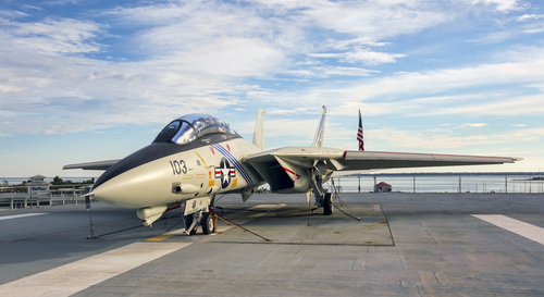 <p>The iconic fighter, a mainstay of the U.S. Navy's aerial fleet from its introduction in the 1970s until its retirement in 2006.</p>