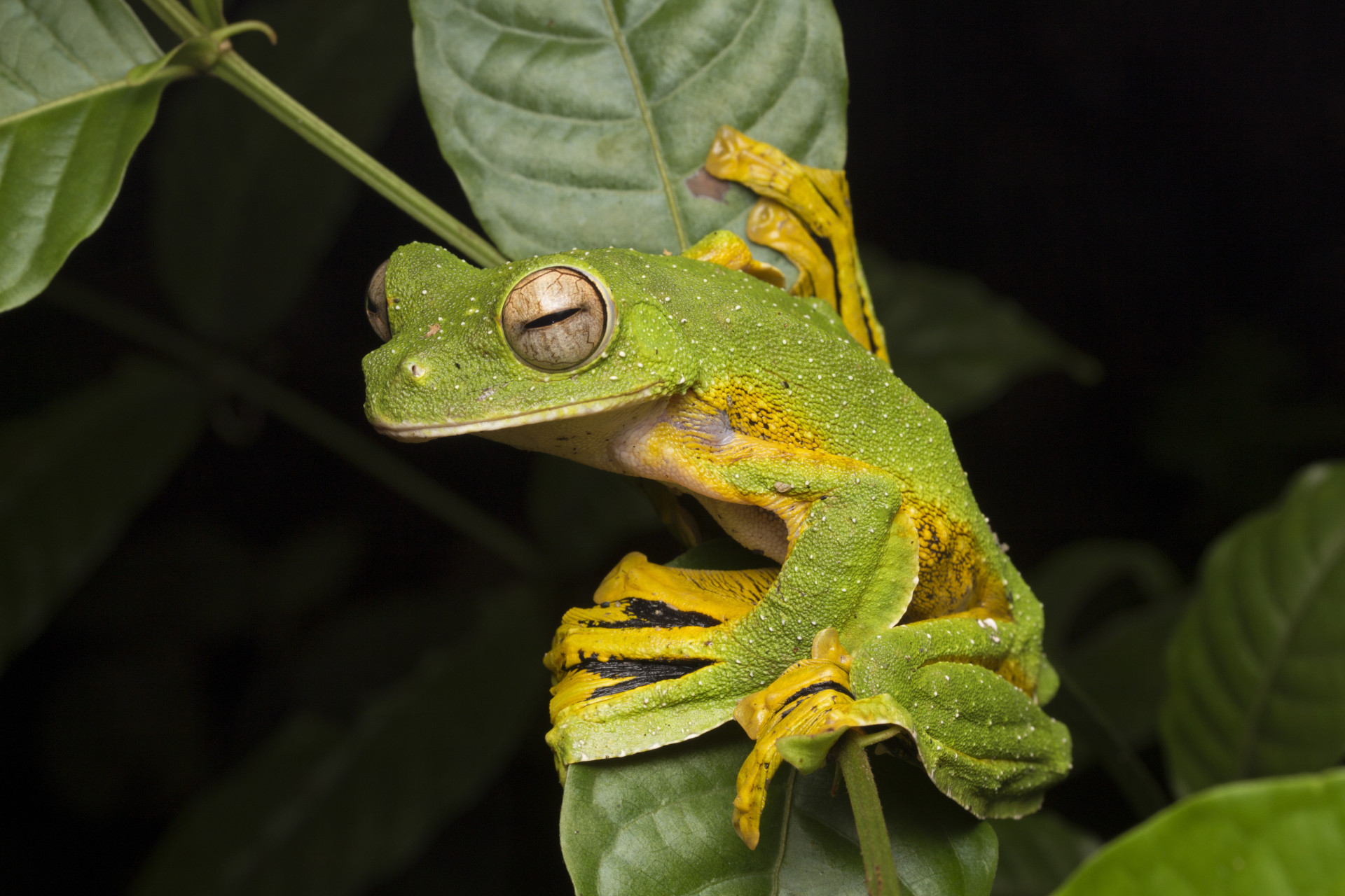 43 EyeOpening Facts About Special Effects