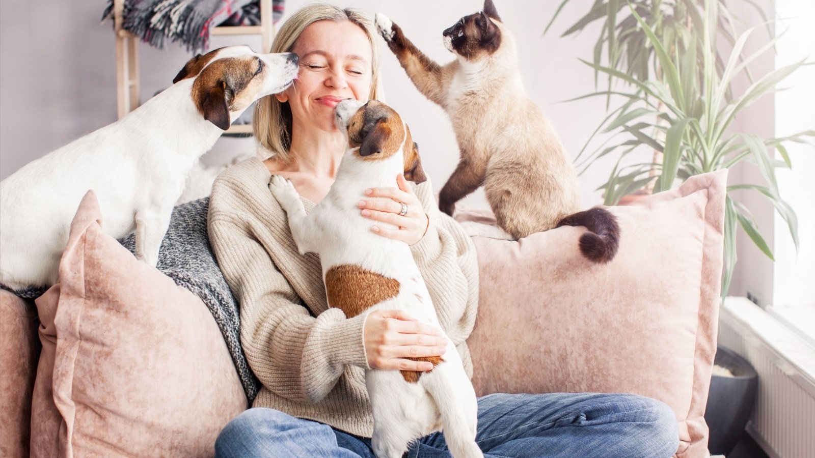 <p><span>Taking care of someone’s home and pets while they are away is a mutually beneficial arrangement for people who want to travel. </span></p><p><span>Through sites like TrustedHousesitters, you can find house-sitting gigs worldwide that provide free accommodation in exchange for your services. This allows you to live like a local and affordably immerse yourself in new destinations. Get reviews from previous house-sitting jobs to build trust with homeowners.</span></p>