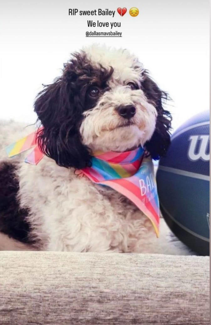 Dallas Mavericks' Bailey, the NBA's first emotional support dog, has died