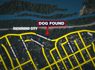Dog dead after she was found trapped in a garbage bag on Buttermilk Trail in Richmond<br><br>