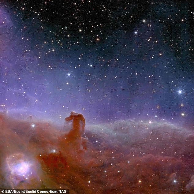 NASA's James Webb captures 'sharpest' images yet of Horsehead Nebula