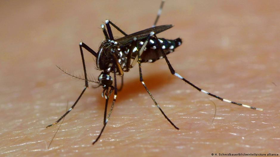 brasil supera los cuatro millones de casos de dengue