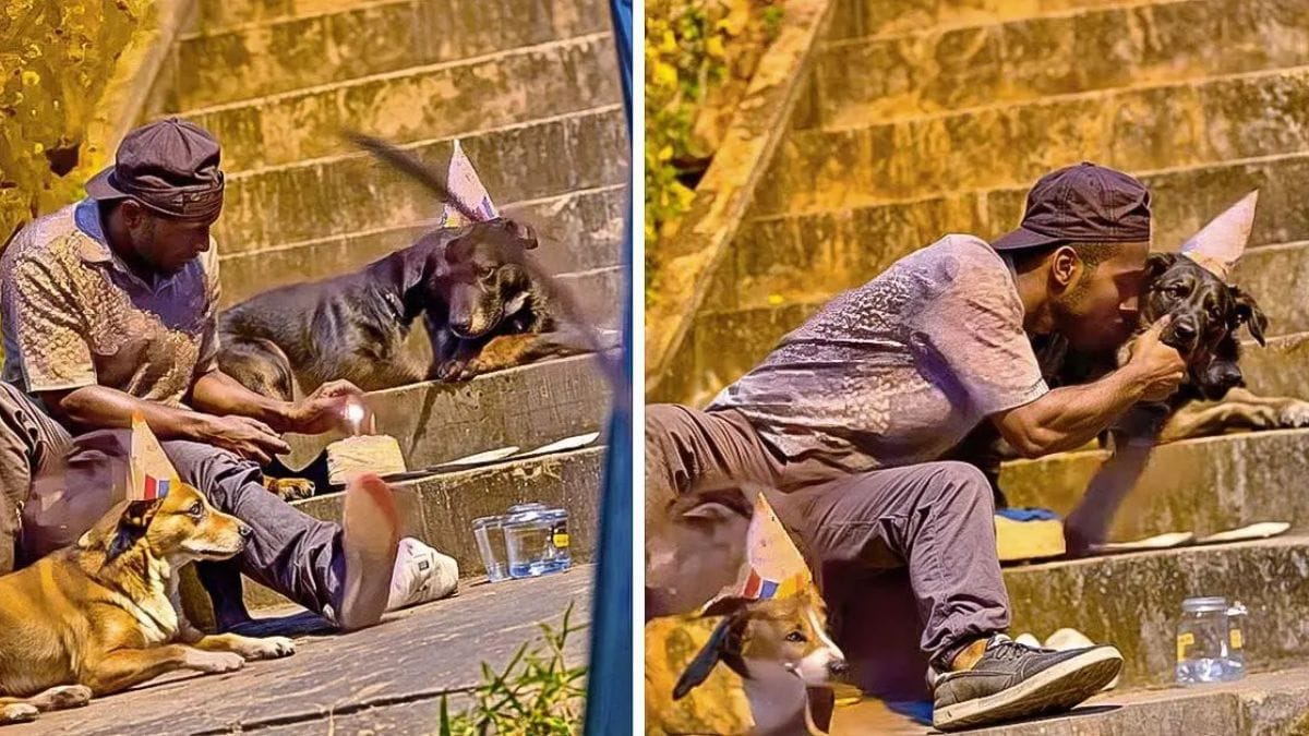 was dieser obdachlose mit seinem hund anstellt, verbreitet sich wie ein lauffeuer
