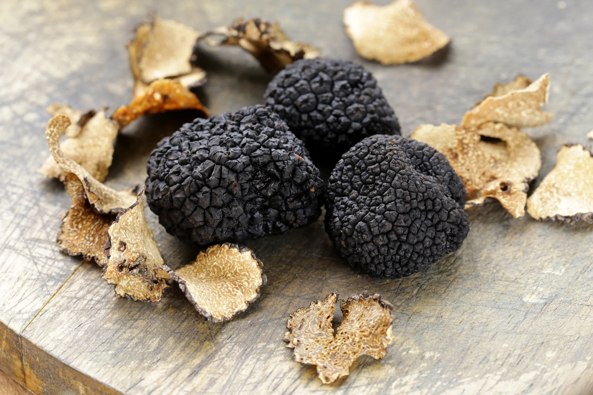 Luxurious Pairings: Truffles are often paired with simple dishes such as pasta, risotto, eggs, and potatoes to highlight their exquisite flavor. They are also used to flavor oils, butters, and sauces. ]]>