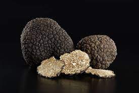 Historical Significance: Truffles have a long history of culinary and cultural significance, dating back to ancient civilizations such as the Greeks and Romans, who prized them for their supposed aphrodisiac properties. ]]>