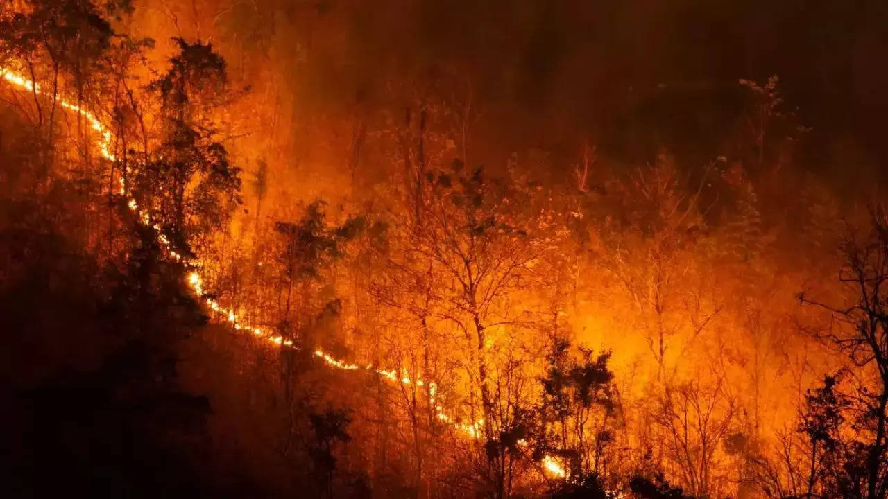 47 New Fires Raze Uttarakhand Forest Lands | 78 Hectares Engulfed In Flames