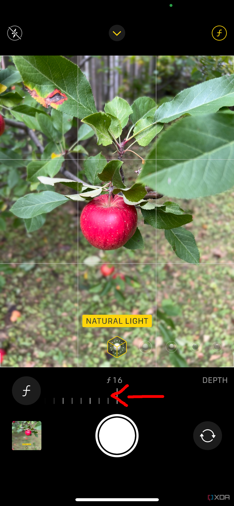 iPhone camera app open taking a photo of an apple with the depth control slider on and an arrow pointing to the left.
