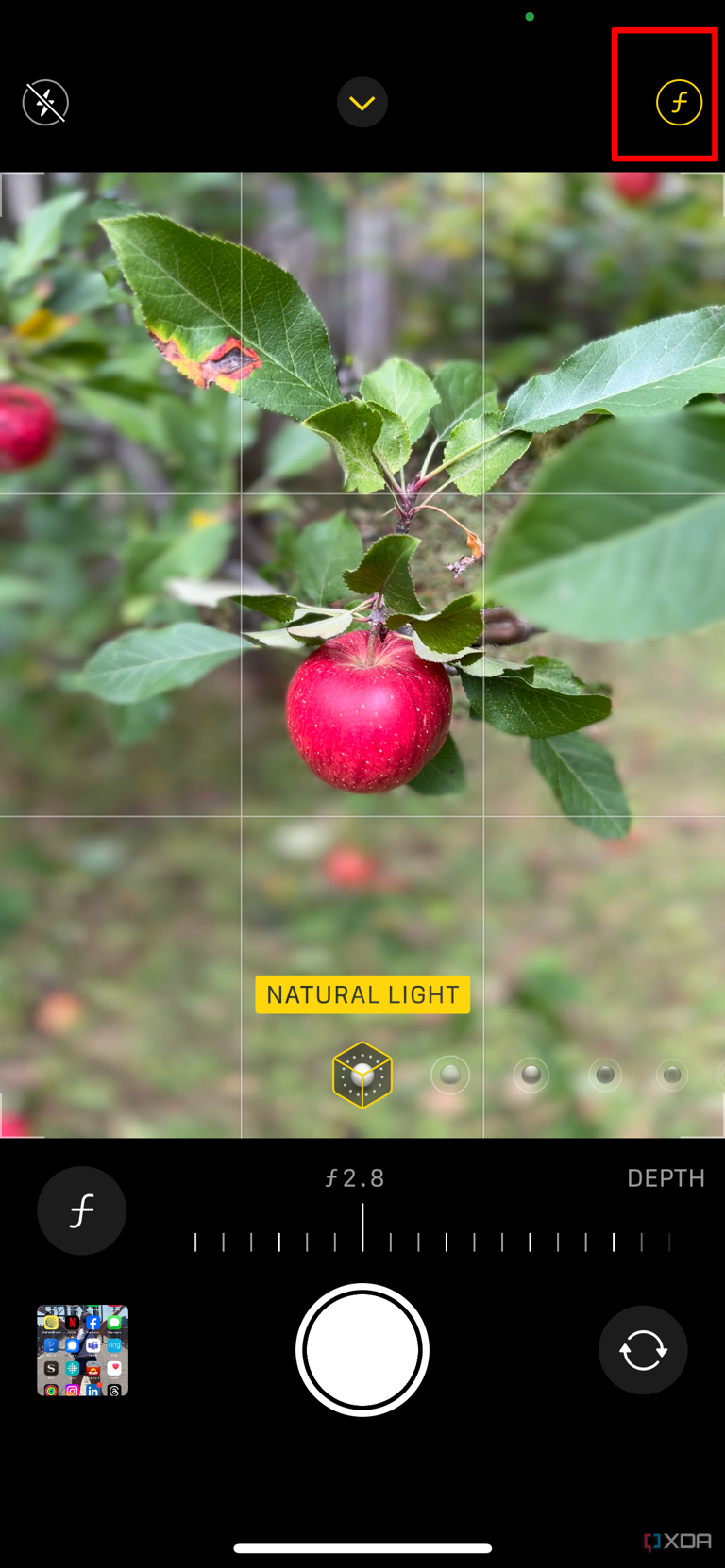The iPhone camera open on Portrait mode showing a photo of an apple and the F at the top selected.