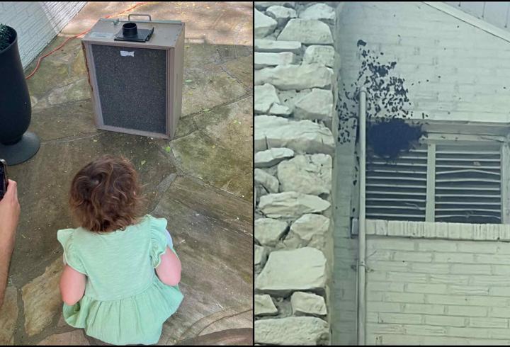 3 yaşındaki kızları 'canavar var' dedi: duvarı kontrol ettiklerinde şoke oldular!