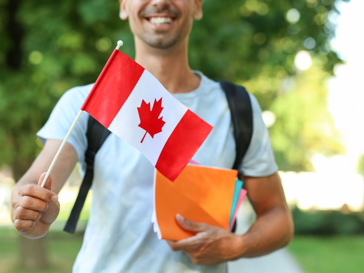 canada imposes new curbs on int'l students