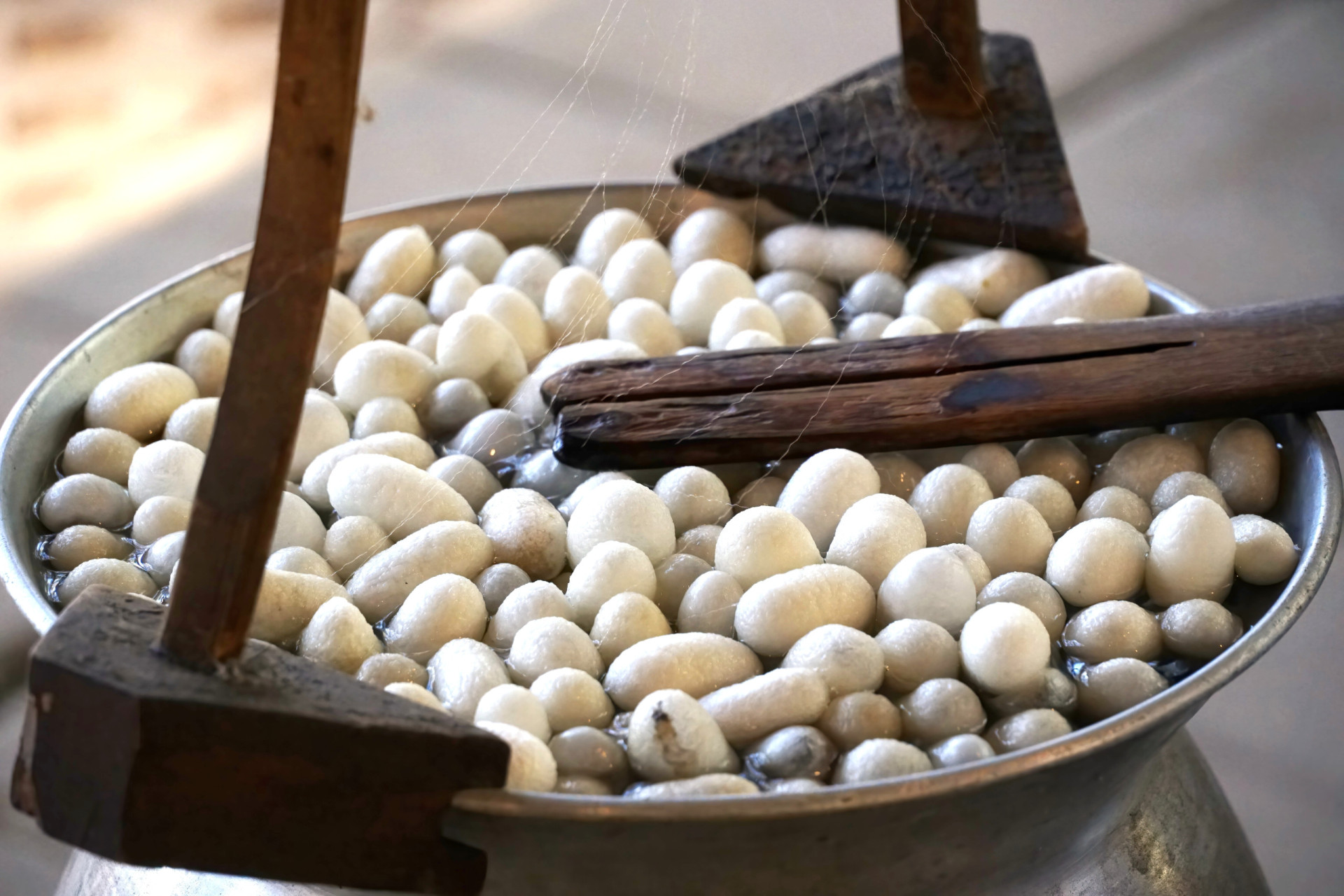 Where does silk come from?