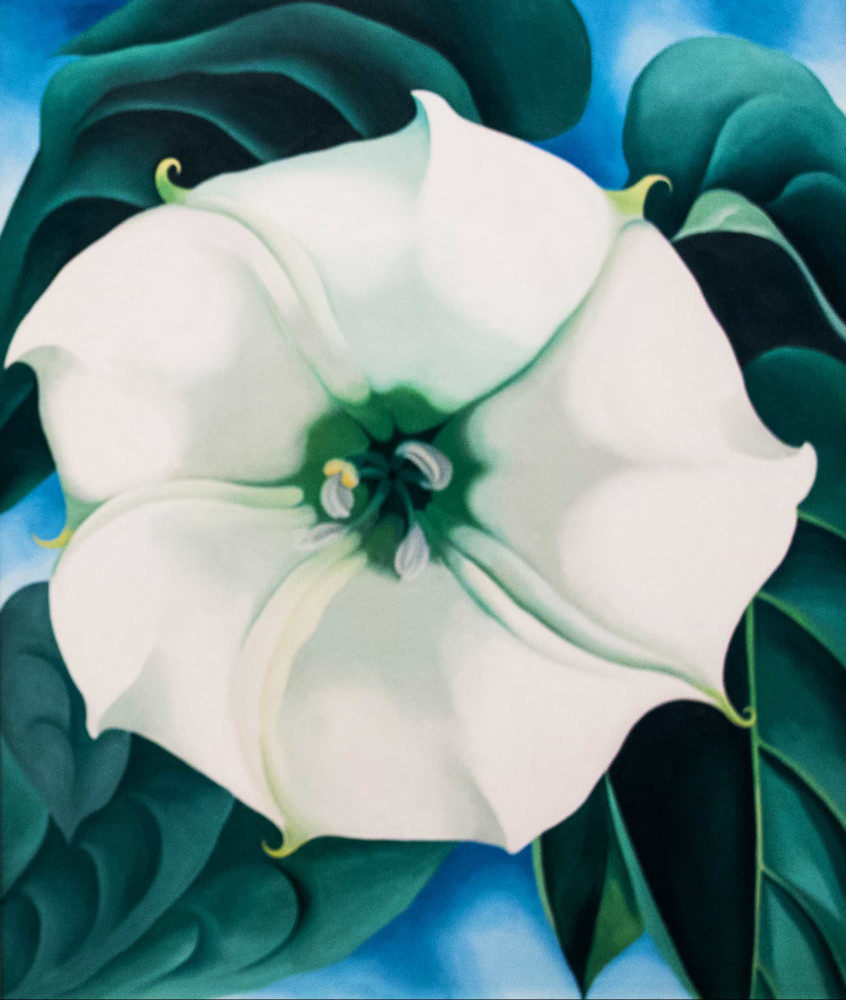 <p>The museum has previously exhibited this work, 'Jimson Weed/White Flower No.1,' painted in 1932. In November 2014, it was sold for US$44.4 million at a Sotheby's auction, making Georgia O'Keeffe the highest-selling woman in art.</p><p>You may also like:<a href="https://www.starsinsider.com/n/378211?utm_source=msn.com&utm_medium=display&utm_campaign=referral_description&utm_content=487164v6en-en"> Angry stars who have walked off set</a></p>