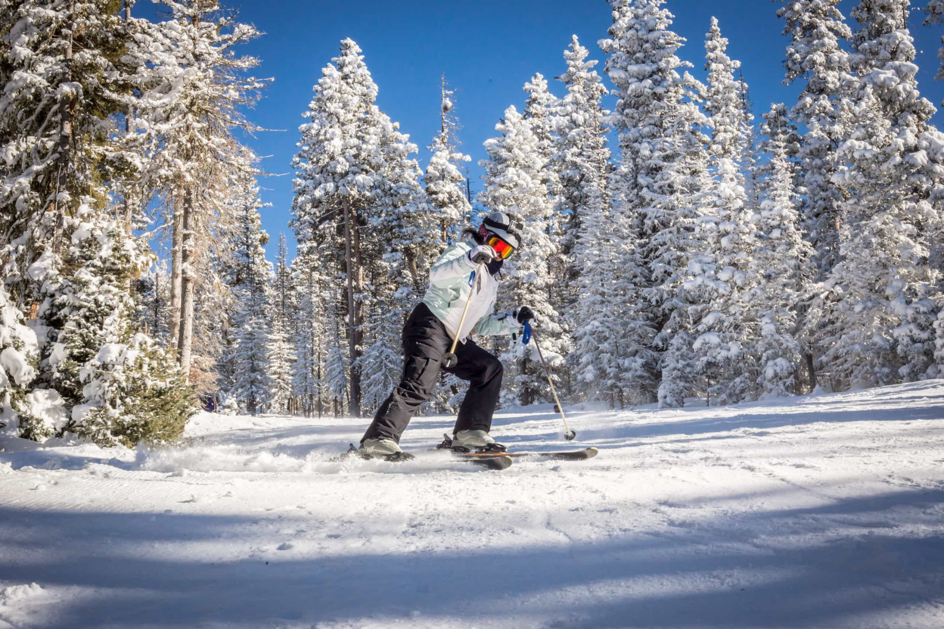 <p>Winter sports enthusiasts are rewarded with excellent skiing conditions in the Taos Ski Valley, a resort set high in the Sangre de Cristo Mountains. Suitable for intermediate and advanced skiers, the valley area is considered one of New Mexico's premier resorts.</p> <p>Sources: (History) (Biography)</p> <p>See also: <a href="https://www.starsinsider.com/celebrity/453398/celebrities-hitting-the-slopes">Celebrities hitting the slopes</a></p>