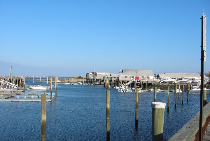<p><span>The town is situated on Cape Cod, a prime spot for whale-watching tours as it is close to major feeding grounds for various whale species. Furthermore, the waters off the coast of Barnstable are known for being rich in marine life, making it a hotspot for whales to feed and play. </span></p>