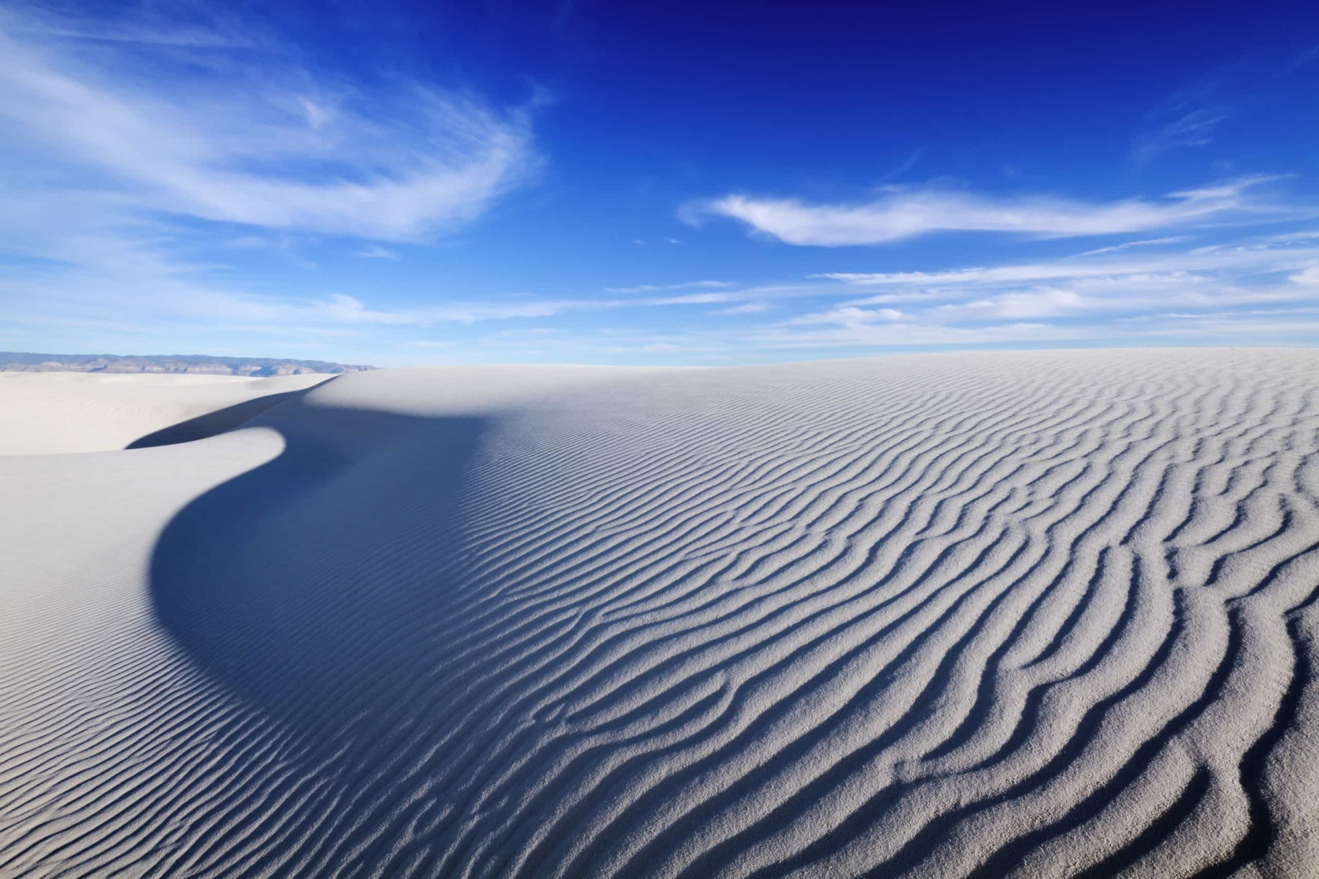 <p>Carpeting the south of New Mexico is the White Sands National Monument. It's a vast park of white sand dunes composed of gypsum crystals, and is the largest of its kind on Earth.</p>