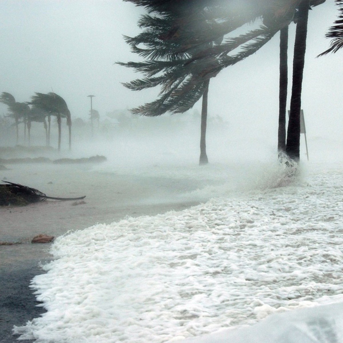 huracán alberto y aletta amenazan méxico: fechas y estados impactados revelados por expertos