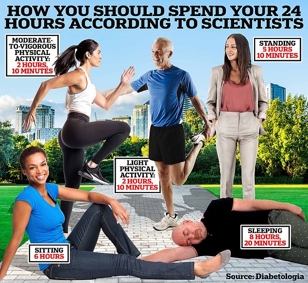 how long you should spend sitting, sleeping and exercising each day