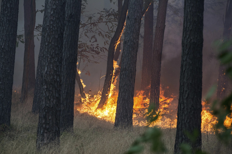 u horní cerekve hořelo 12 hektarů lesa, kvůli práci na železnici
