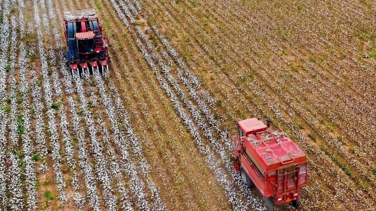 ελγα: αποζημιώσεις 38 εκατ. ευρώ για ζημιές φυτικής παραγωγής και ζωικού κεφαλαίου