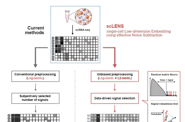 New tool decodes complex, single-cell genomic data