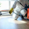 How Much Does Pest Control Cost in Orlando, Florida? (2024 Guide)<br>
