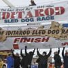 Iditarod says new burled arch will be in place for 