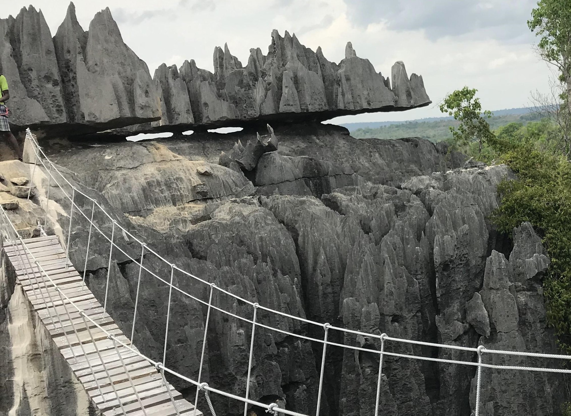 The Forest of Knives offers visitors a once-in-a-lifetime opportunity to witness some of the world's most unique geological formations and ecosystems.
