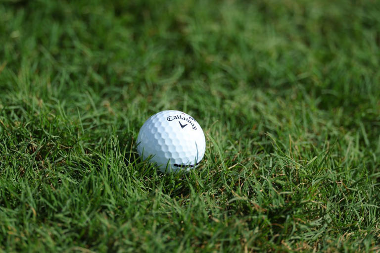 Oversized golf balls are hidden across Central Pennsylvania; Here’s why