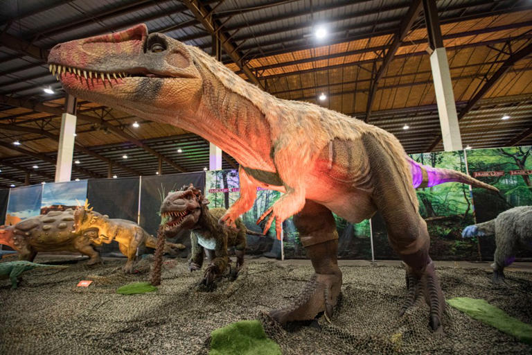 DEL MAR, CALIFORNIA – JANUARY 21: General view of nimatronic dinosaurs on display during a press review of Jurassic Quest at Del Mar Fairgrounds on January 21, 2022 in Del Mar, California. (Photo by Daniel Knighton/Getty Images)