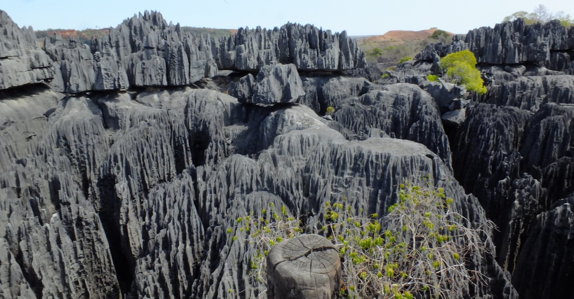 The genesis of the Tsingy dates back approximately 200 million years, when Madagascar was submerged beneath the ocean. Over time, coral reefs flourished and solidified into limestone bedrock. Aptly nicknamed the "Forest of Knives," it owes its formation to millions of years of geological processes.