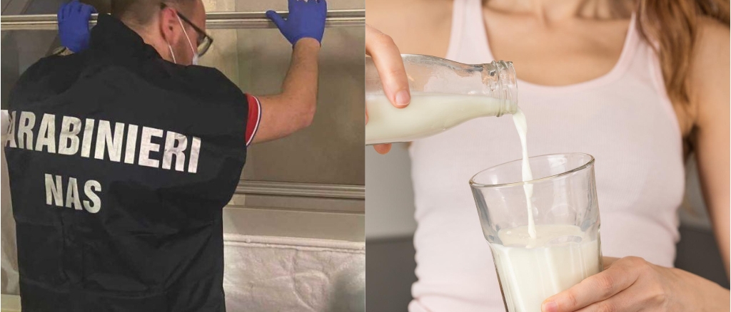 latte adulterato, si cercano altre sostanze: antibiotici in eccesso e anche alcune tossine