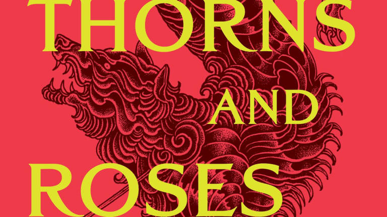15 fantasy books to read if you love ACOTAR