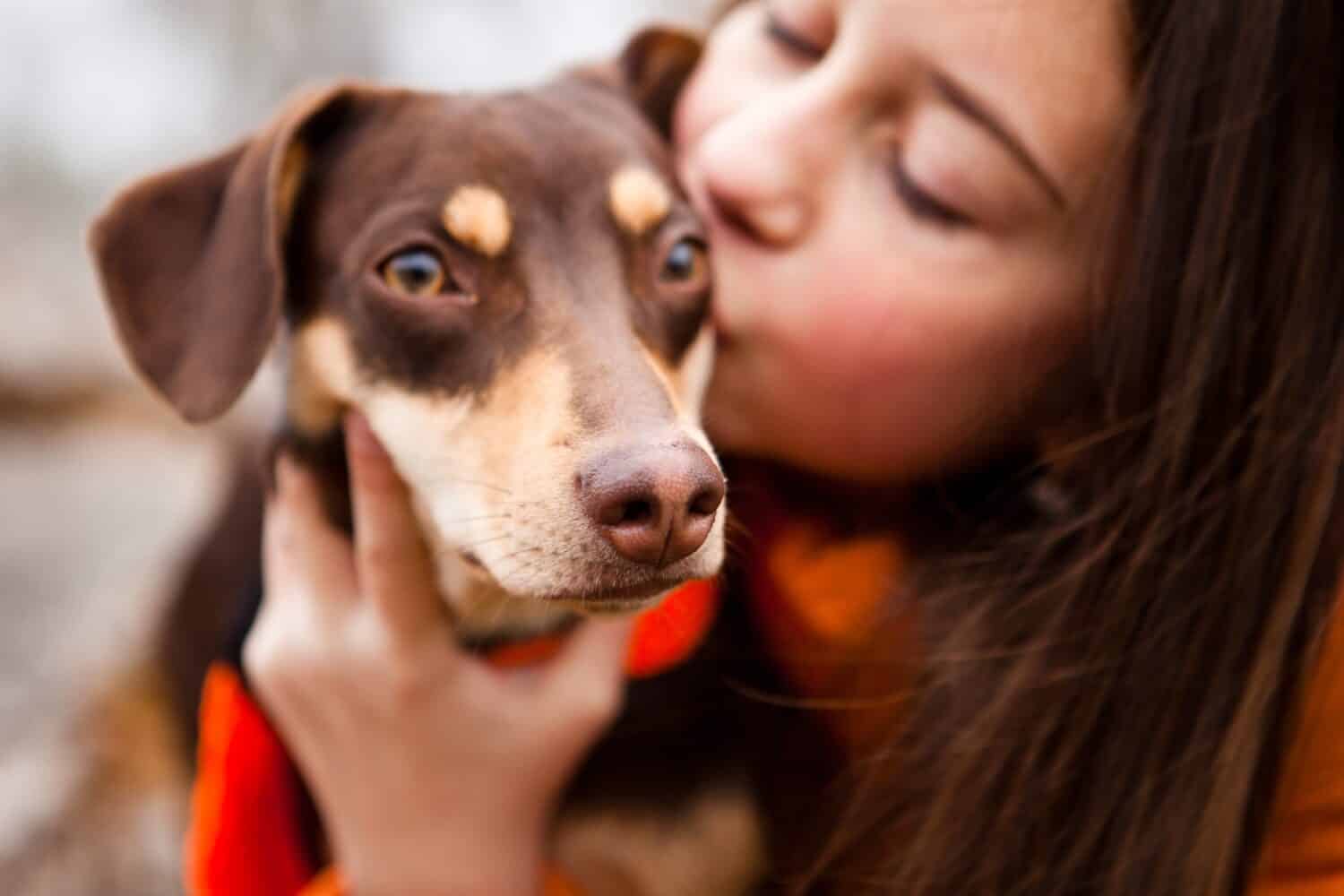 Dachshund Progression: Growth Chart, Milestones, And Training Tips