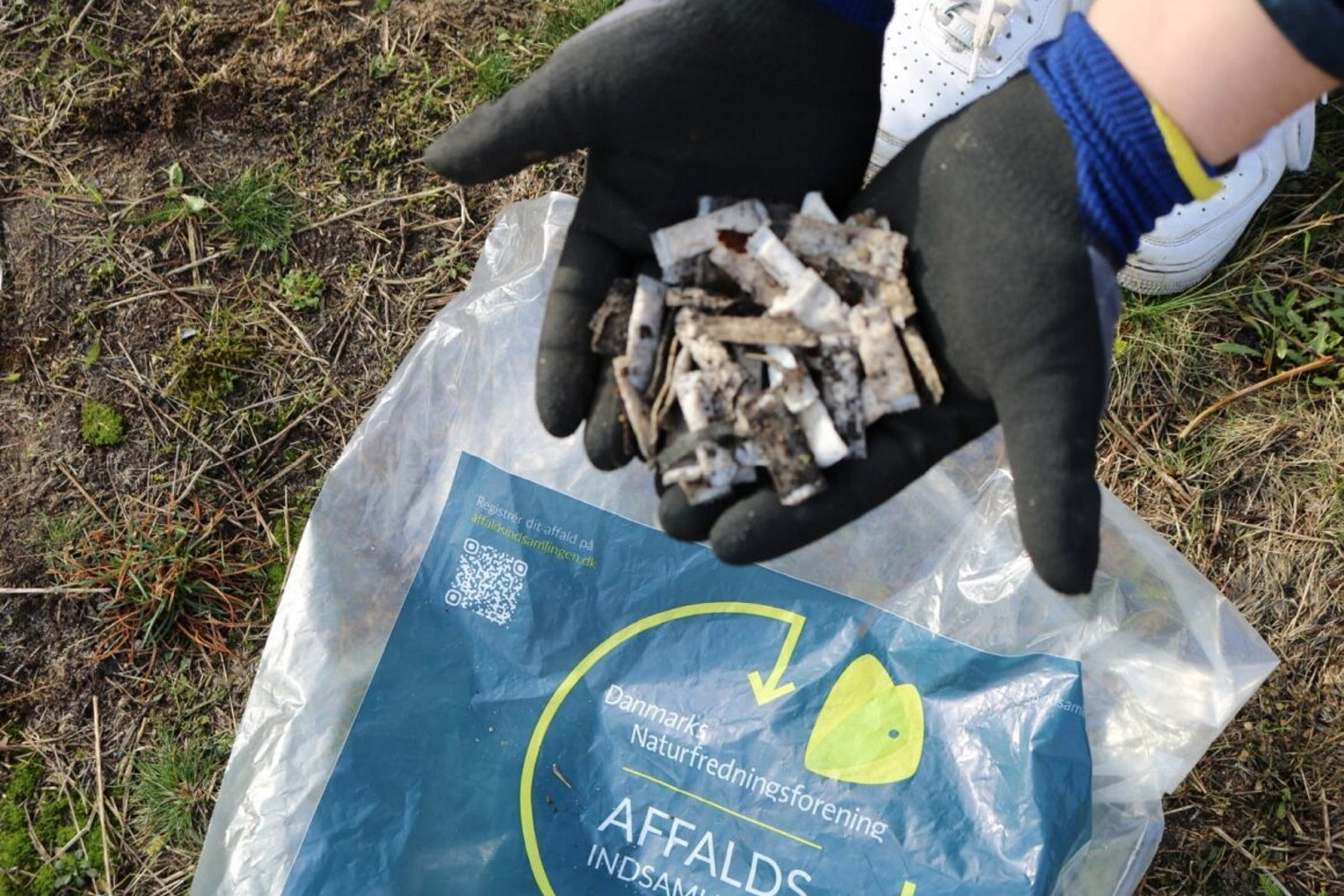 115.000 nikotinposer fundet i naturen af affaldsindsamlere