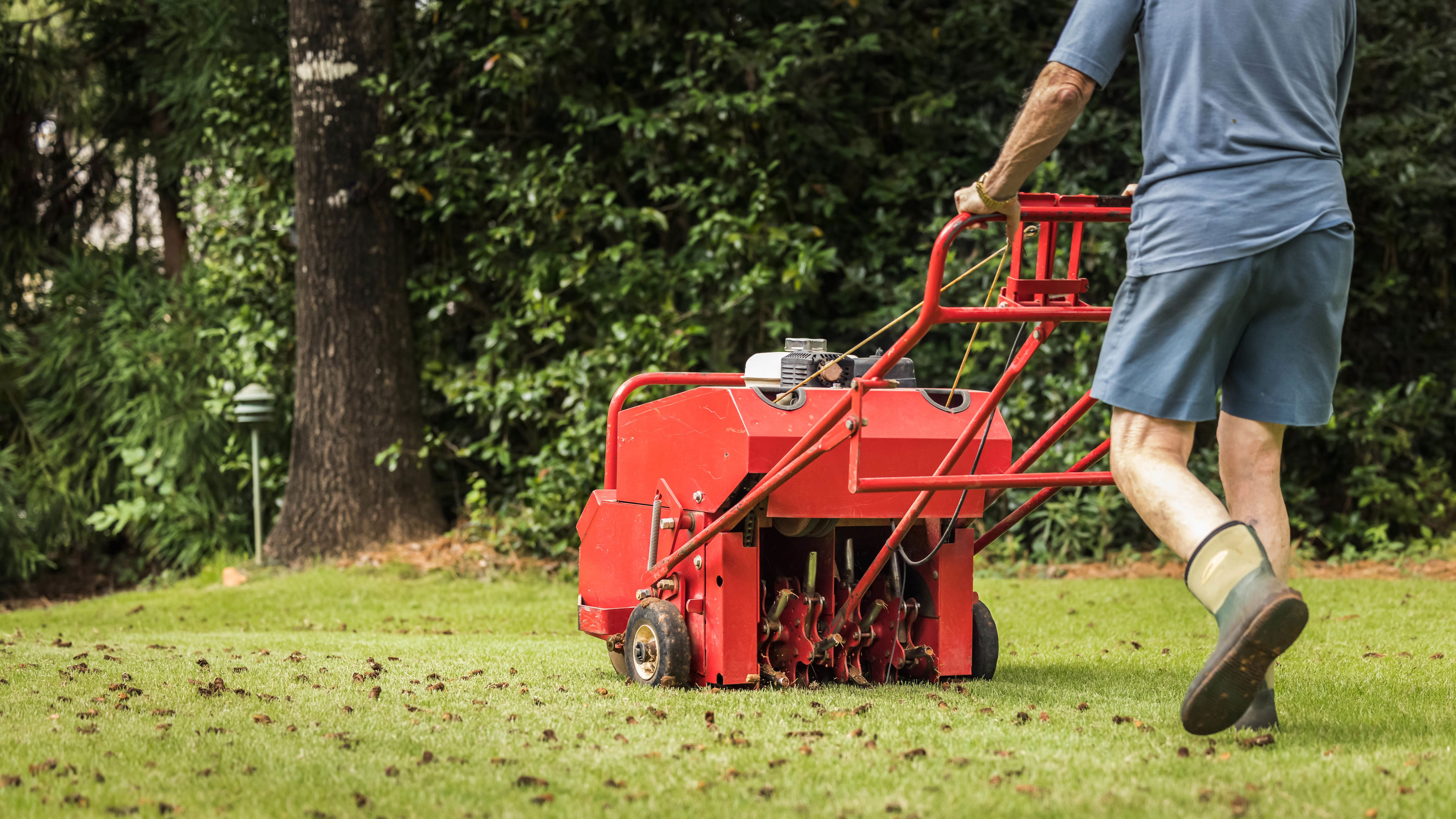 amazon, 5 lawn care tasks to do in may, according to a garden expert