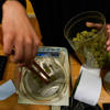 Will Looser Marijuana Rules Help Biden Move the Needle With Young Voters?<br>
