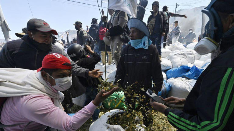 El Bolivia, tanto la erradicación como las incautaciones de coca han aumentado significativamente.