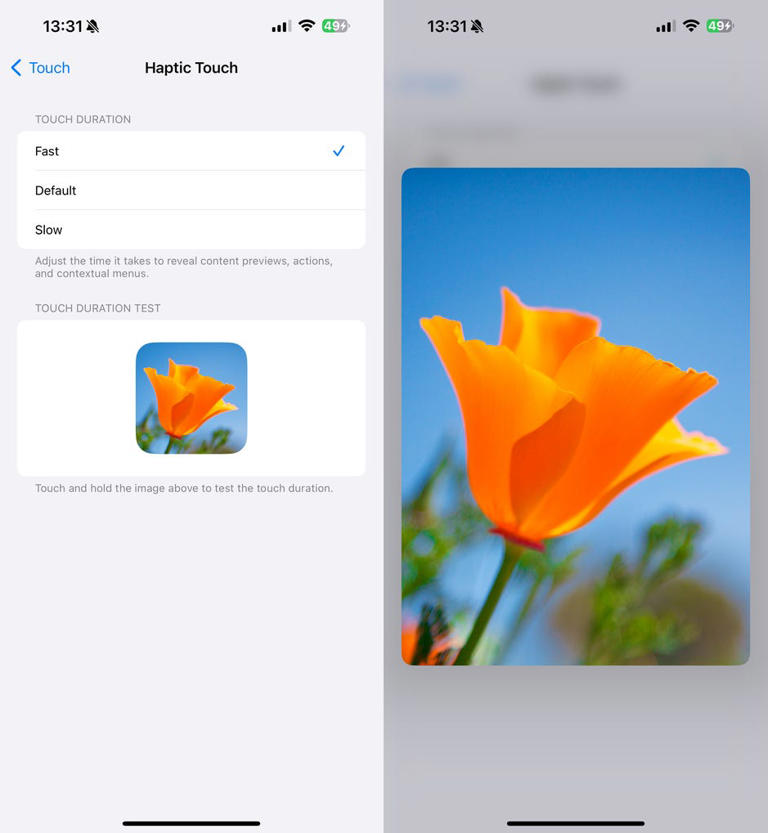 Use the image of the flower to test out the various Haptic Touch duration options. Screenshots by Nelson Aguilar/CNET