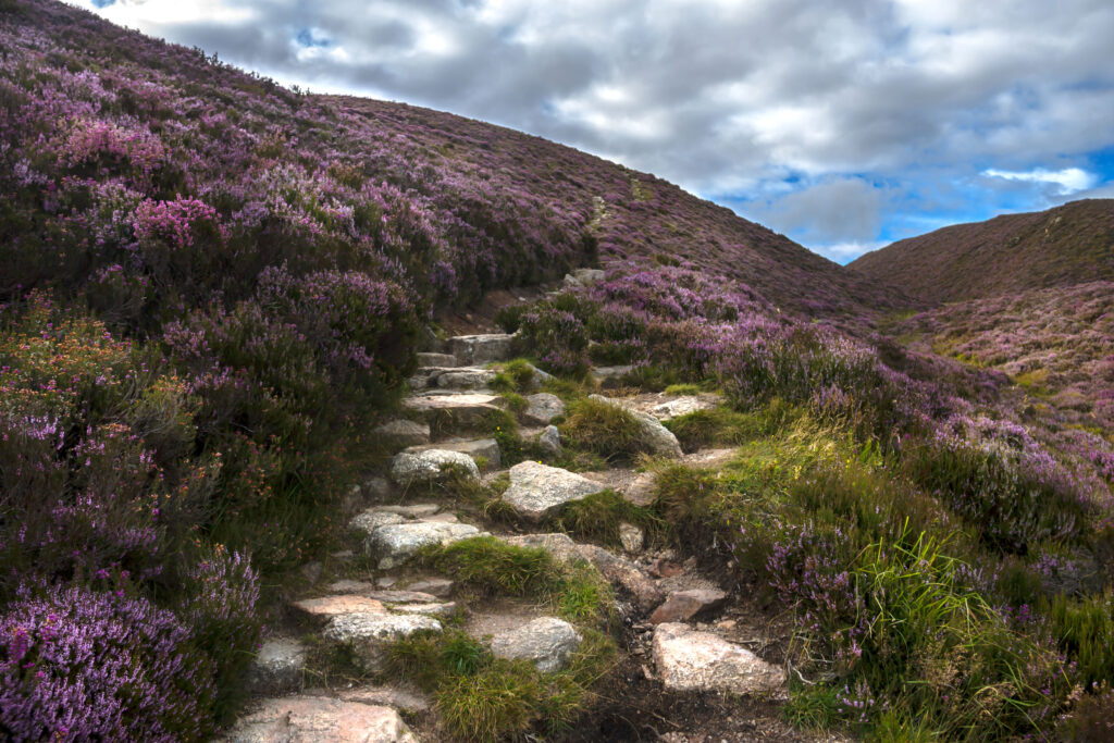 <p>In fifth place is Cairngorms National Park, with a total of 331,923 Instagram posts using its hashtag. Cairngorms is the UK’s largest national park, with breath-taking landscapes including the wild mountains, heather moorlands, forests, and the wetlands and rivers which wind through the flood plains.</p>