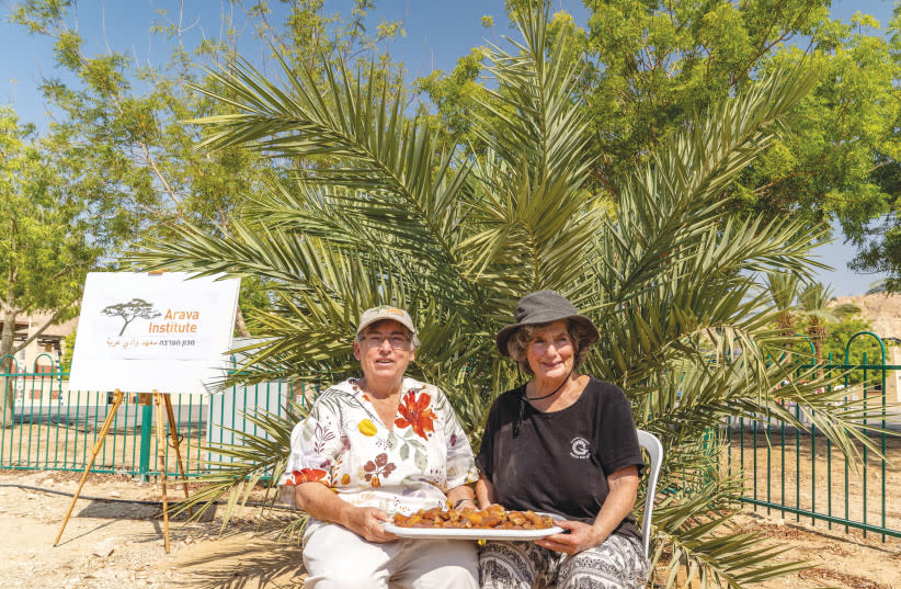 coalición de académicos nominan al instituto arava de israel para el premio nobel de la paz