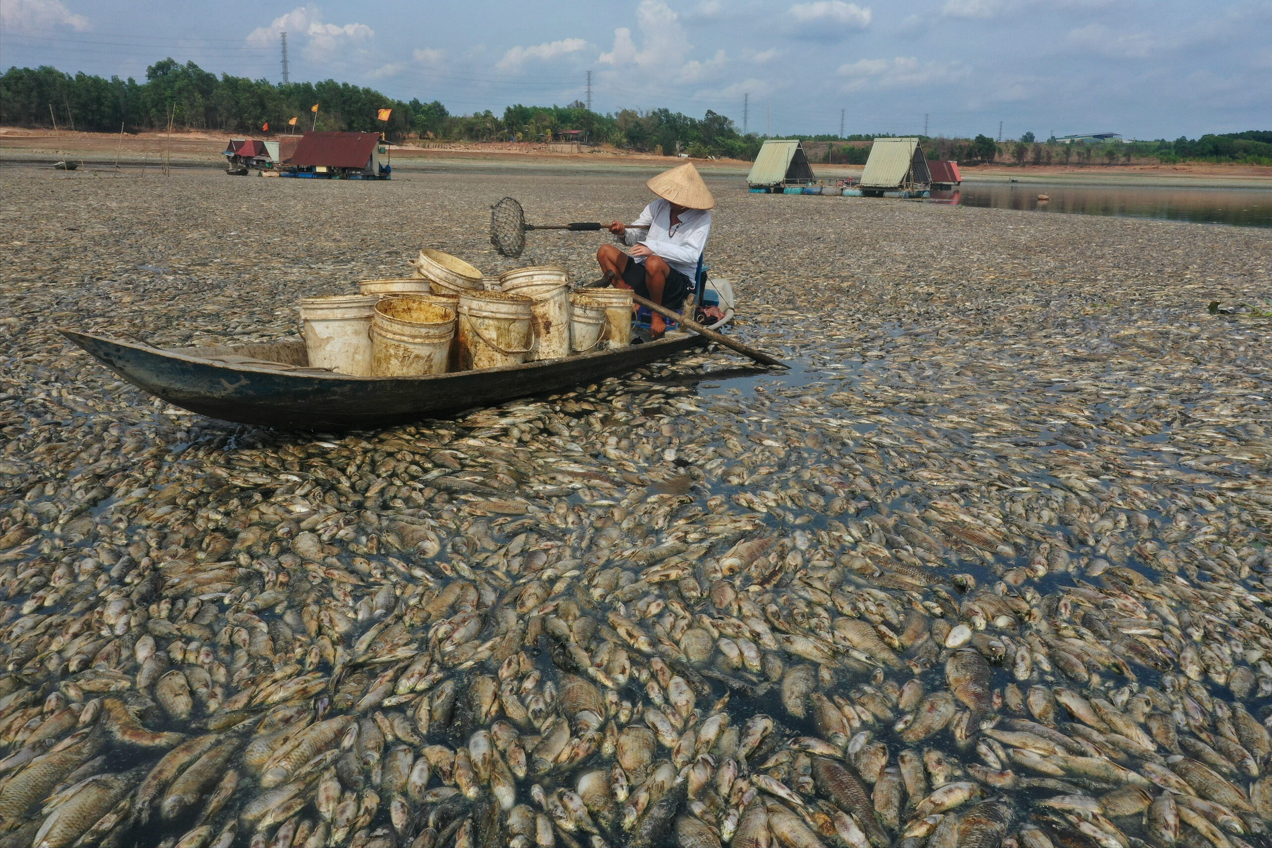 mass fish die-off in vietnam as heatwave roasts southeast asia