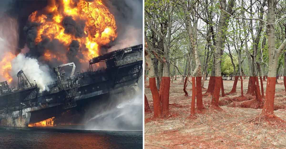 <p>Today, a photo of a forest in Western Hungary is going viral because of what appears to be an optical illusion. The bottom half of each tree is covered in red, and that red comes up to precisely the same height for all of them. Despite looking Photoshopped, the image actually comes from the aftermath of a 2010 accident at the Ajkai Timföldgyár alumina, an aluminum oxide plant. A corner wall of a waste-retaining pond broke, releasing a torrent of toxic red sludge down a local stream. That stream then flooded much of the nearby area, coating everything from foliage to houses in a red hue. </p><p>The aftermath of that disaster is pretty striking, but it is hardy the most destructive disaster in human history. A few of those are included on this collection of <a href="https://www.ebaumsworld.com/pictures/55-before-and-after-photos-show-how-the-world-around-us-changes/87207129/?view=player" rel="noopener noreferrer">before and after photos</a>; showcasing the harrowing destruction both humans and mother nature can cause.</p>