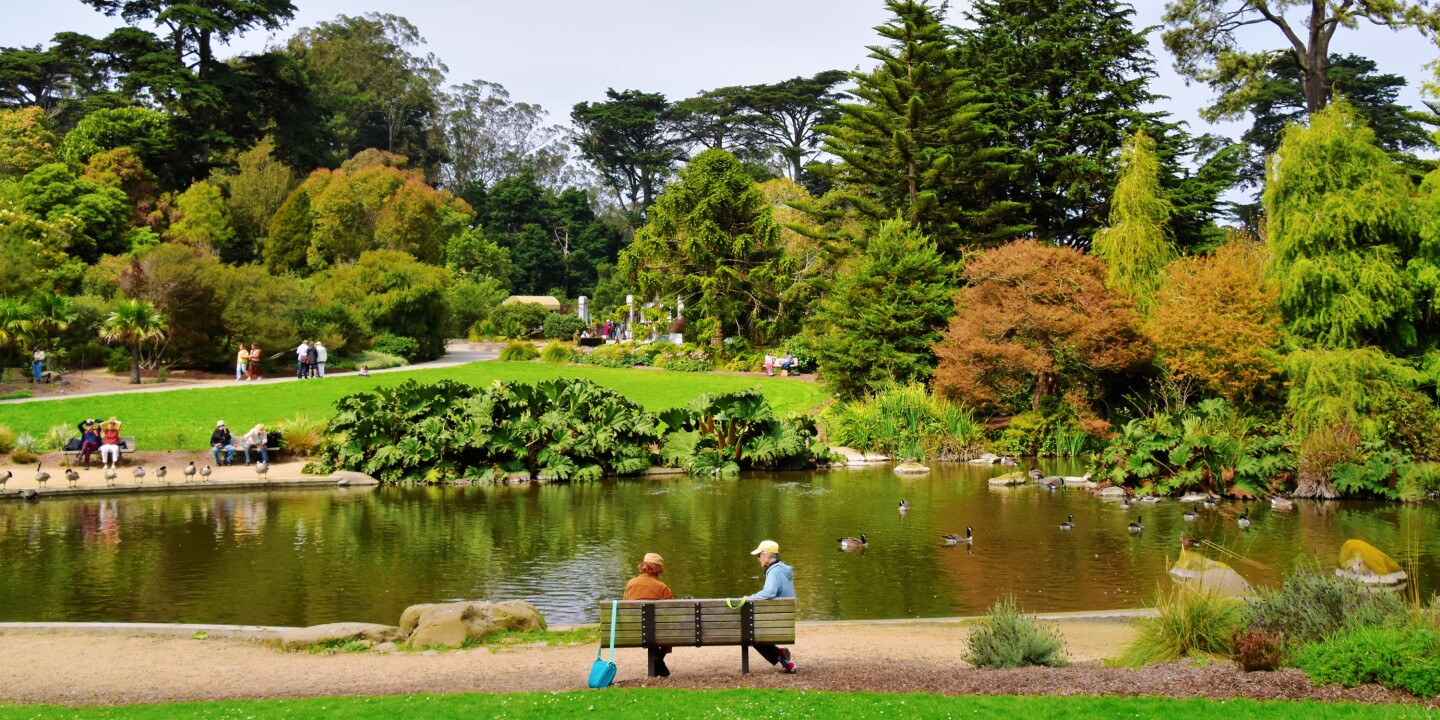 <p>Lakes, museums, and miles of trails make Golden Gate Park a wonderful attraction for locals and out-of-towners.</p><p>Photo by Jeffrey Eisen/Unsplash</p><p>For many, <a class="Link" href="https://www.afar.com/travel-guides/united-states/california/san-francisco/guide" rel="noopener">San Francisco</a> conjures images of cable cars and the Golden Gate Bridge; loaves of sourdough and seafood-slinging fishmongers at Fisherman’s Wharf; Victorian houses and steep hills; a storied and sometimes tumultuous past full of beatniks, hippies, jazz musicians, and immigrants from all over the world—all of who helped build the city into what it is today.</p><p>After living here for more than 10 years, I’ve learned that all of those things are quintessentially San Francisco, but also that the city has a seemingly endless array of outdoor activities, a vibrant and diverse food scene, world-class museums, and plenty of quirky, smaller sights to discover (and delight), all packed into 49 square miles. On your next trip to the City by the Bay, my advice is to skip the hubbub at Fisherman’s Wharf and get down with us locals with these great things to do in San Francisco.</p>