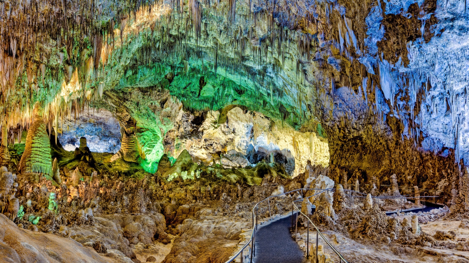<p>Located in the Chihuahuan Desert, this park is home to a vast underground cave system with spectacular limestone formations and a famous bat flight at dusk.</p>