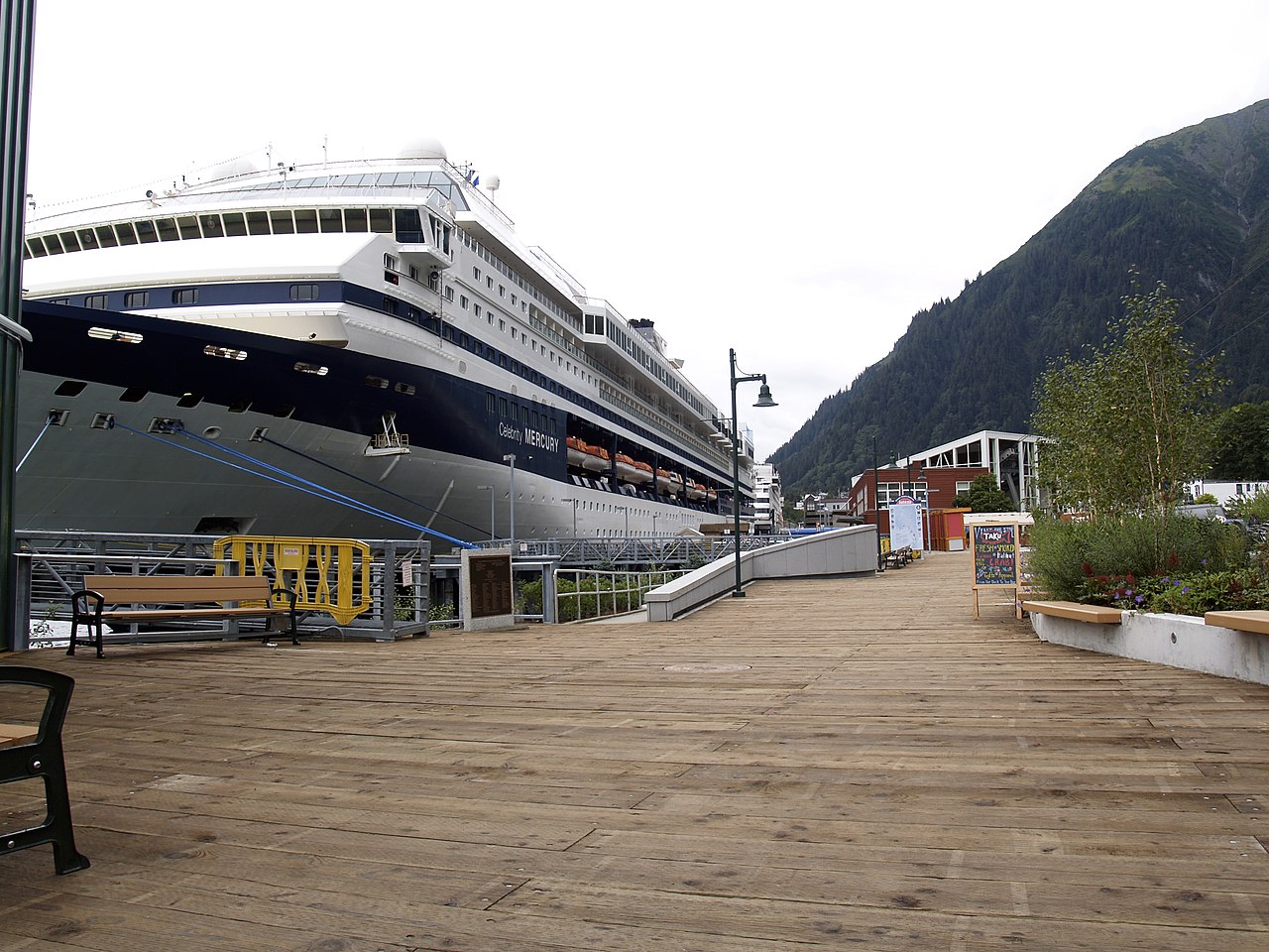 <p>A Norovirus outbreak is common on cruise ships, but this was one of the worst cases at the time. The incident made headlines as this was not this particular ship’s first (or recent) outbreak.</p>  <p>The following scheduled cruise was delayed so the ship could receive extra sanitizing.</p>