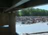Massive log jam in Neosho River sparks safety and accountability concerns in Miami<br><br>