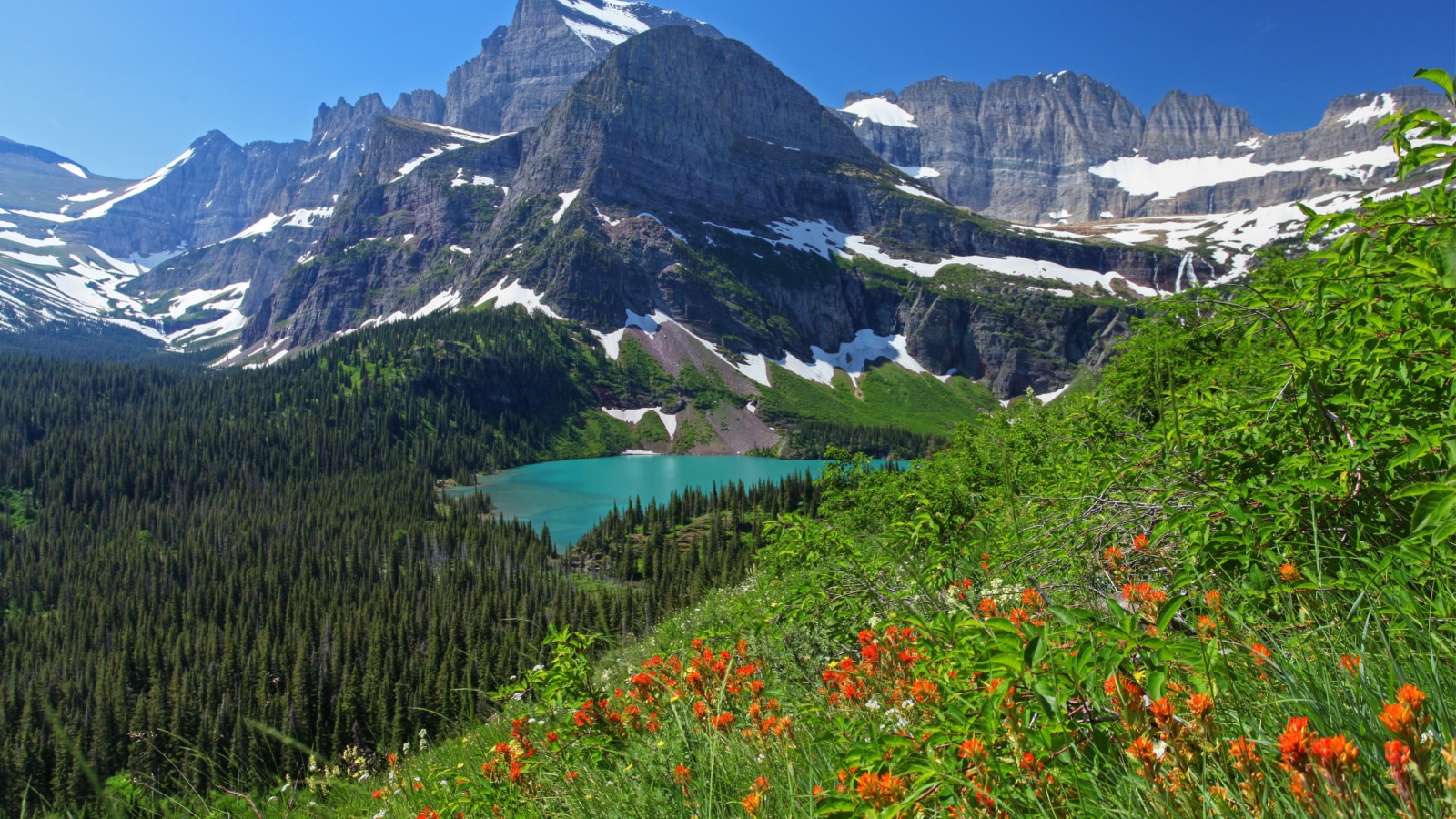 <p>Nestled in the northern Rockies, this park is renowned for its rugged mountain peaks, pristine lakes, and glaciers, providing some of the most stunning alpine scenery in the United States.</p>