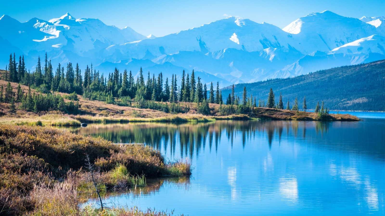 <p>Situated in central Alaska, this vast park encompasses six million acres of wilderness, including North America’s highest peak, Denali (formerly known as Mount McKinley). Visitors can explore diverse landscapes, from tundra to taiga, and might spot iconic wildlife such as grizzly bears, wolves, and moose.</p>
