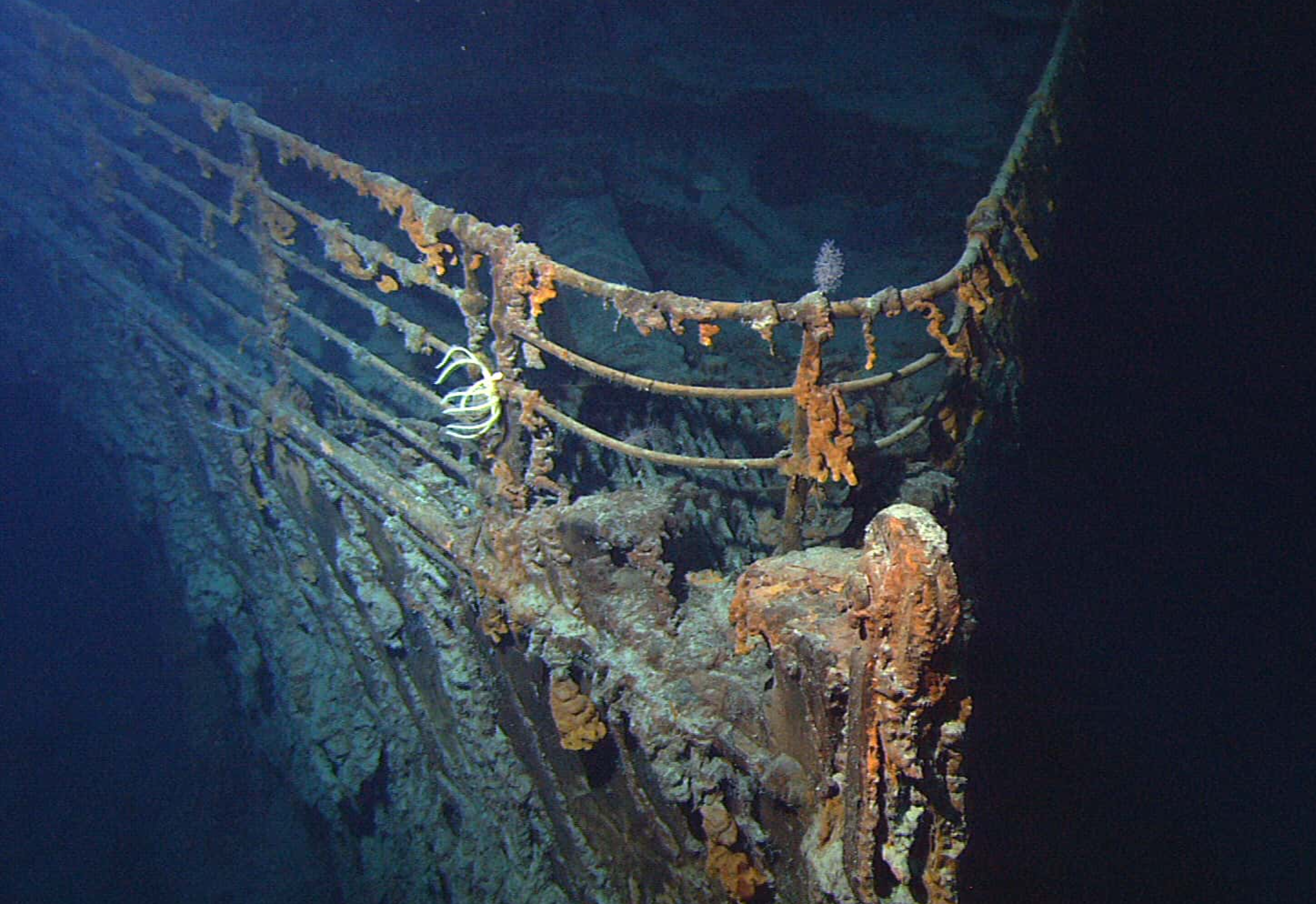 <p>Unfortunately, the Titanic was never recovered. A recovery of that magnitude would be extremely complex and even more costly than anyone could imagine.</p>  <p>Even still, some extremely valuable artifacts (ie. artwork worth millions) will remain forever on the sea floor.</p>